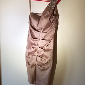 Cache One Should Blush Cocktail Prom Dress size 10